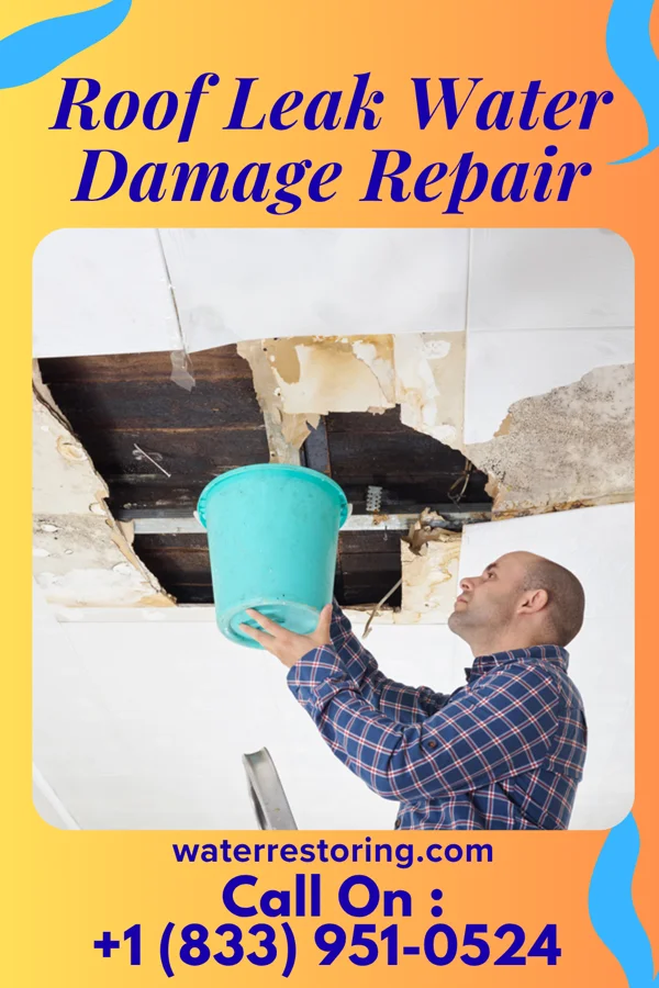 Roof Leak Water Damage Repair in Branson, MO