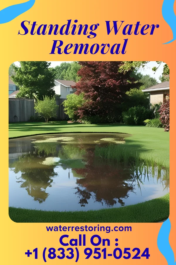 Standing Water Removal in Branson, MO